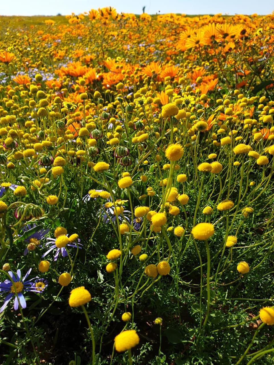 Namaqualand Eco Lodge Soebatsfontein Buitenkant foto