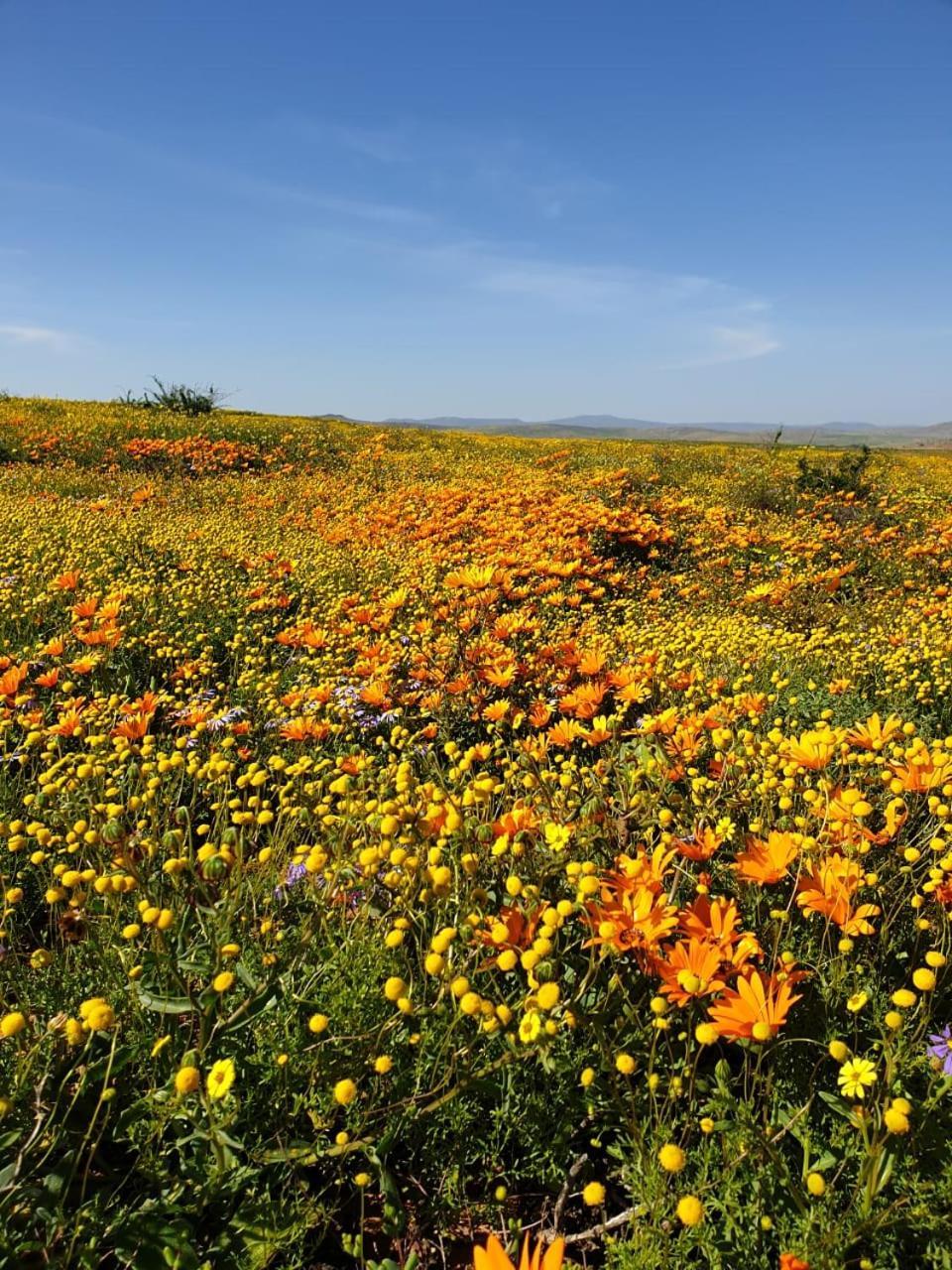 Namaqualand Eco Lodge Soebatsfontein Buitenkant foto