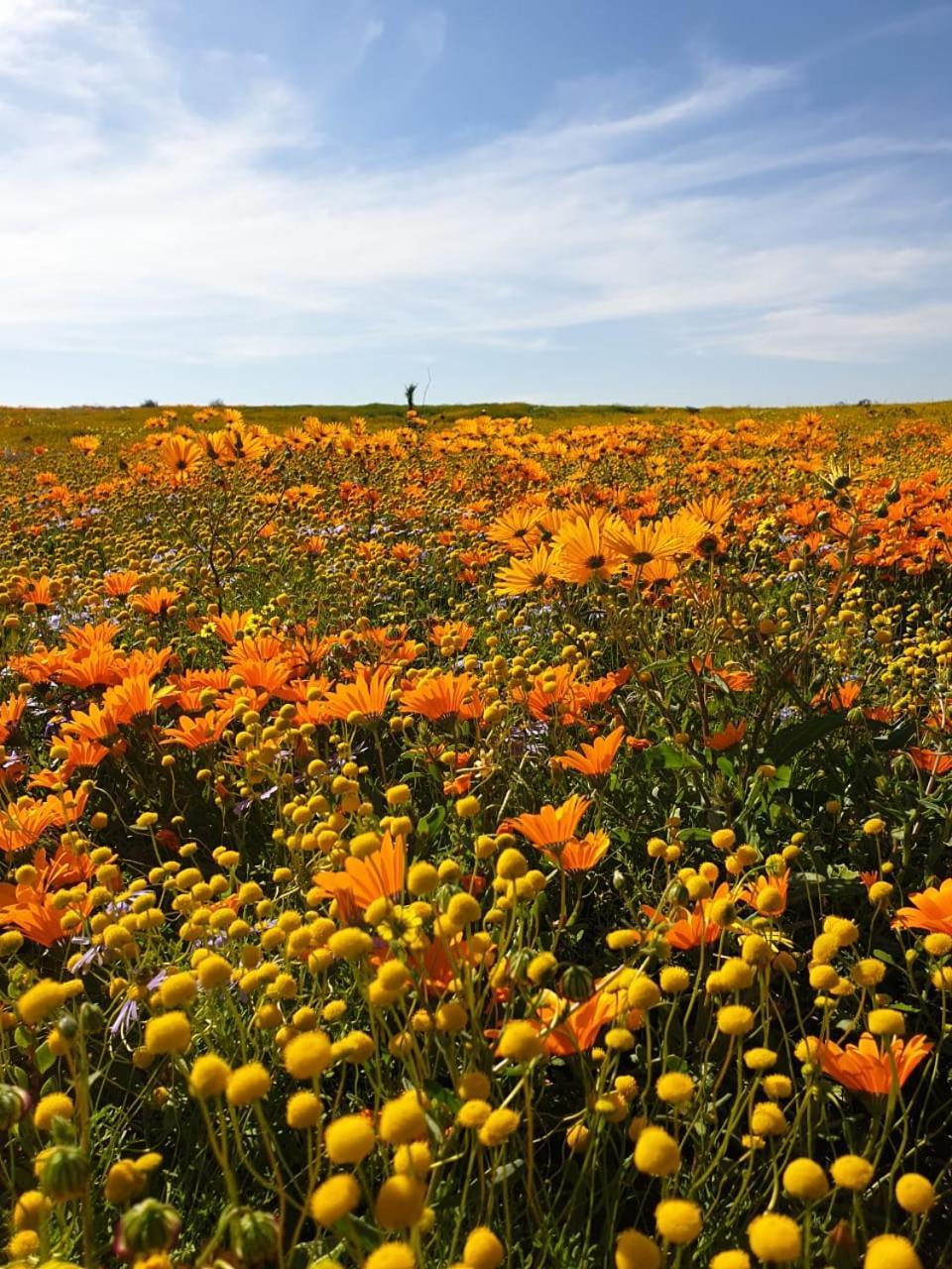 Namaqualand Eco Lodge Soebatsfontein Buitenkant foto