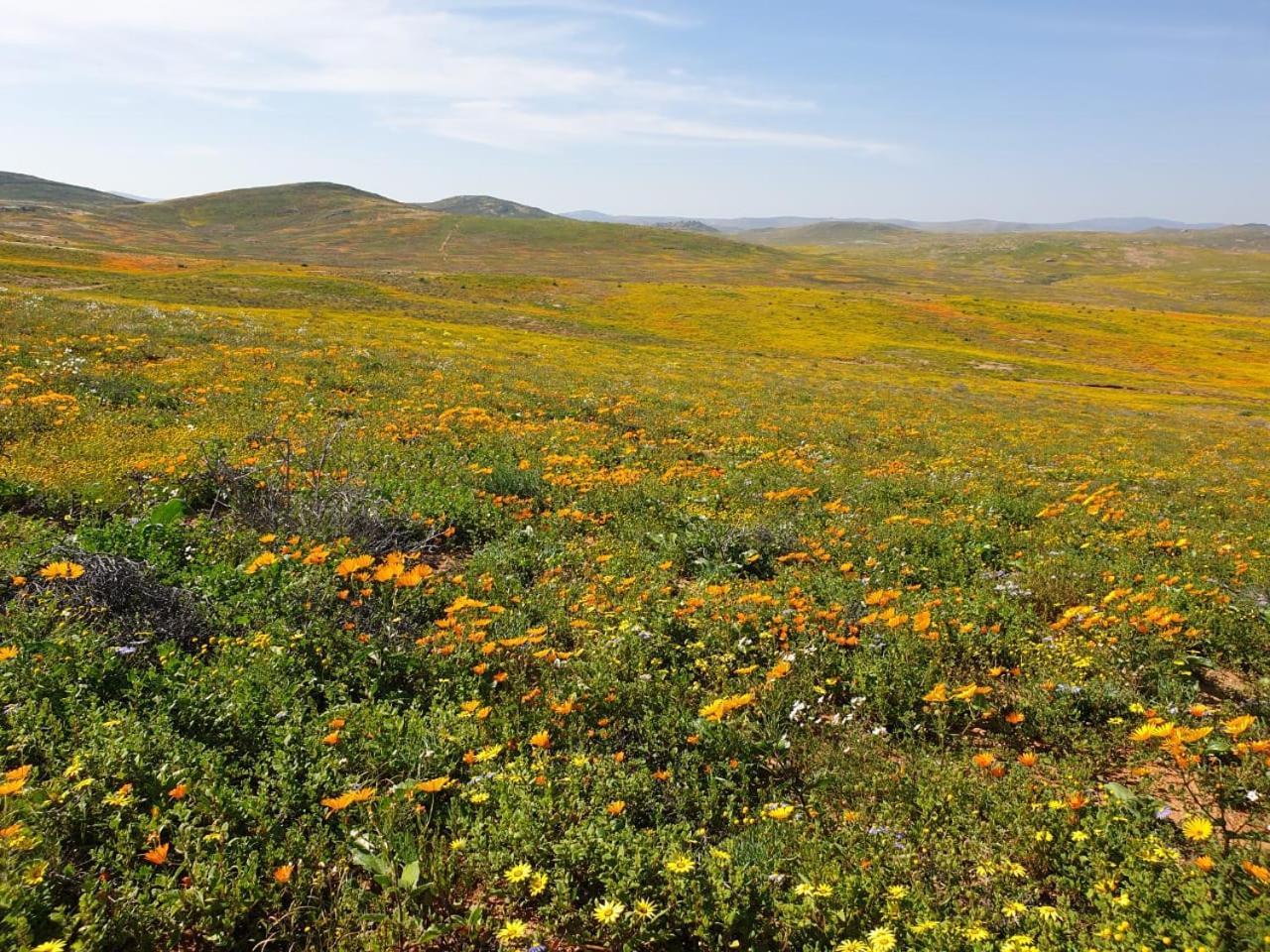 Namaqualand Eco Lodge Soebatsfontein Buitenkant foto